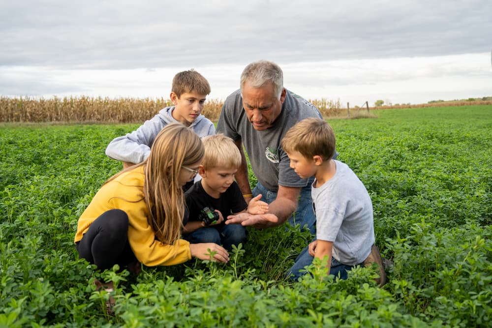Dad shows children plants in farm field
